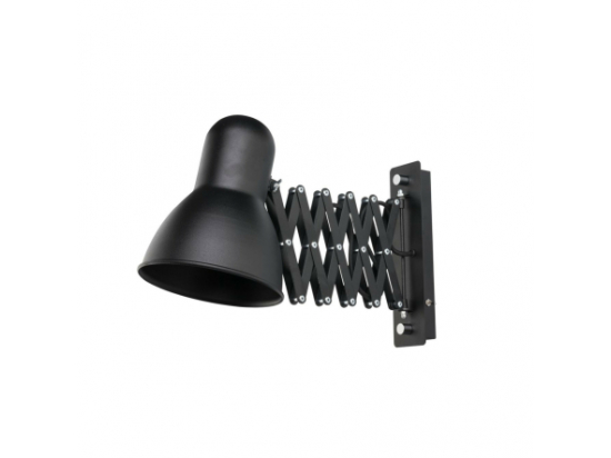 Harmony lamp