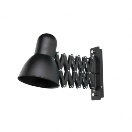 Harmony lamp